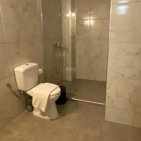 Mani Spot Guest house *