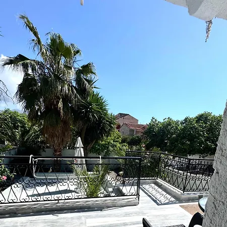 Mani Spot 3*