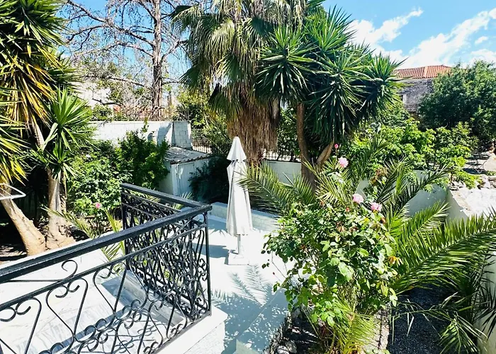 Mani Spot أريبوليس